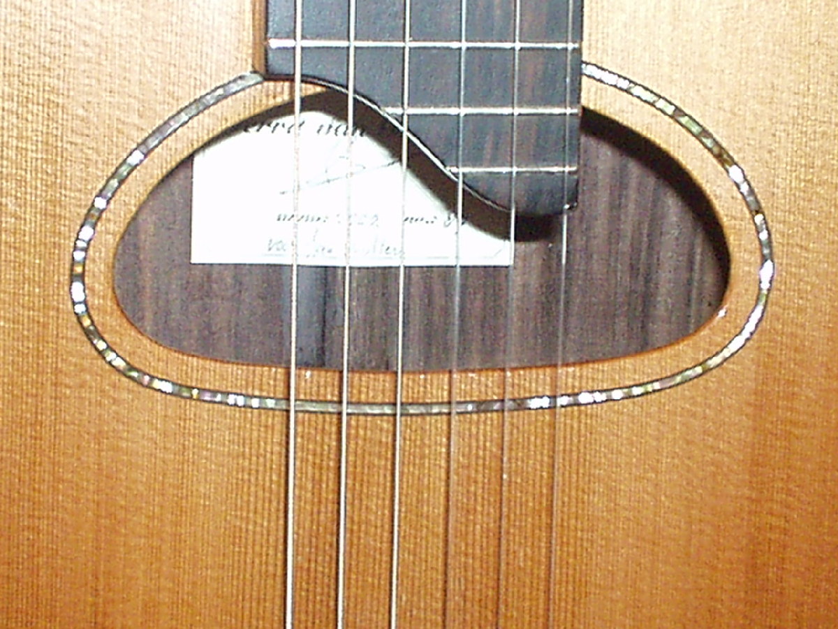 Nylon string gypsy guitar