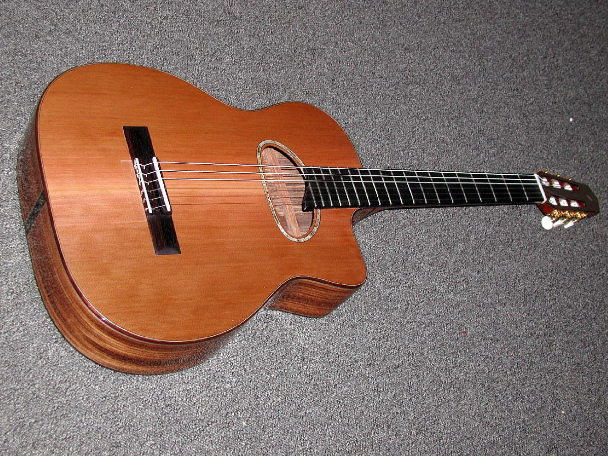 Nylon string gypsy guitar