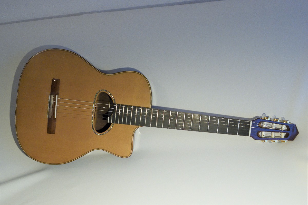 Nylon string gypsy guitar