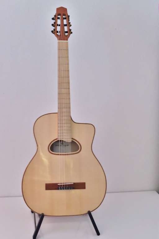 Nylon string gypsy guitar